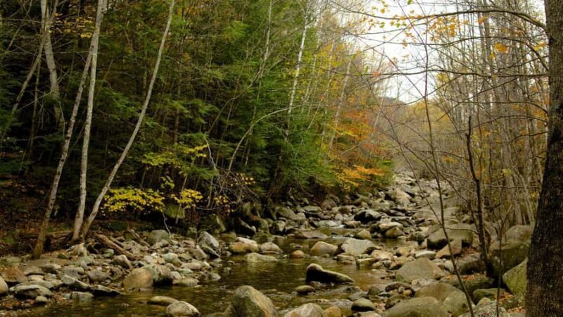 Boston Fall Day Trip to White Mountains, Lost River Gorge - Who Will Love This Tour?