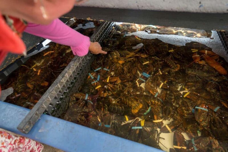 Boston: Guided Seafood Tasting and History Tour - Sustainability and Responsible Travel