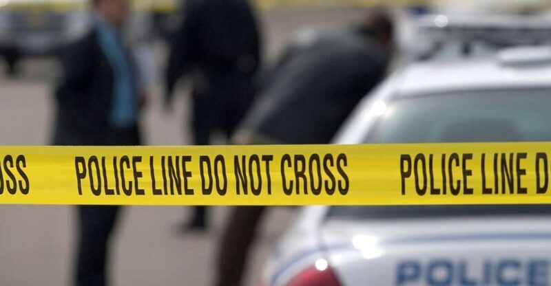 Boston: In Cold Blood True Crime Guided Walking Tour - Who Will Love This Experience?