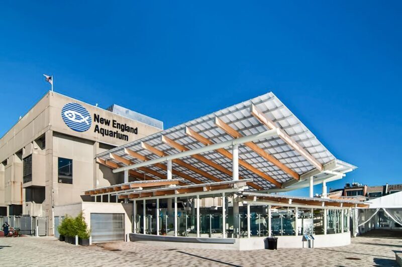 Boston: New England Aquarium Entry + Optional Simons Theatre - An Overview of the Experience
