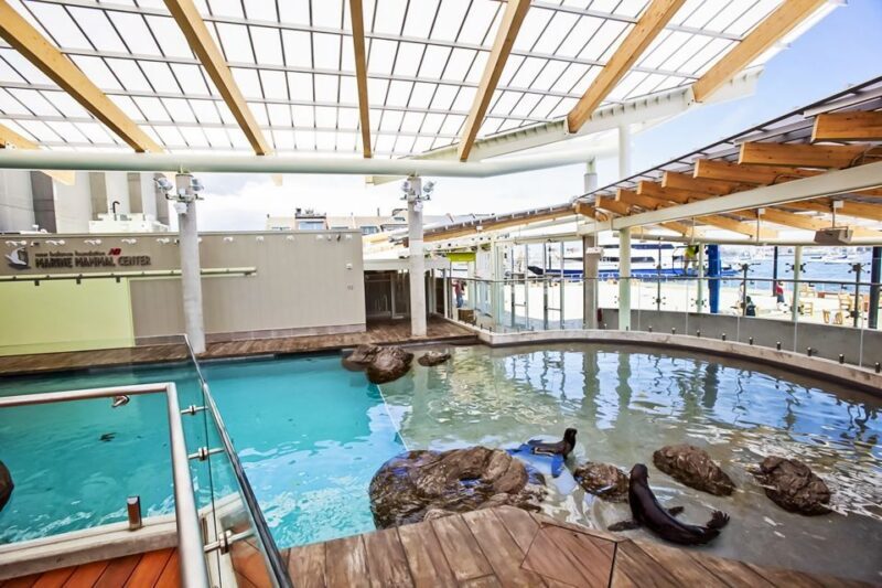 Boston: New England Aquarium Skip-the-Line Entry Ticket - What to Expect at the New England Aquarium