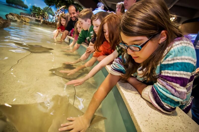 Boston: New England Aquarium Skip-the-Line Entry Ticket - Authentic Experiences from Visitors
