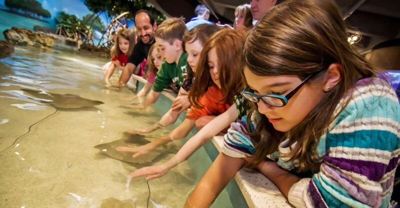 Boston: New England Aquarium Skip-the-Line Entry Ticket - The Sum Up: Who Should Consider This Experience?