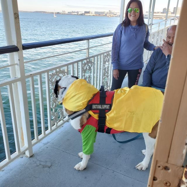 Boston: Scenic Harbor Cruise (Dog-Friendly) - Practical Details: What You Need to Know