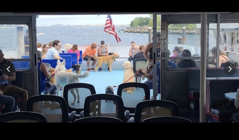 Boston: Scenic Harbor Cruise (Dog-Friendly) - Final Thoughts
