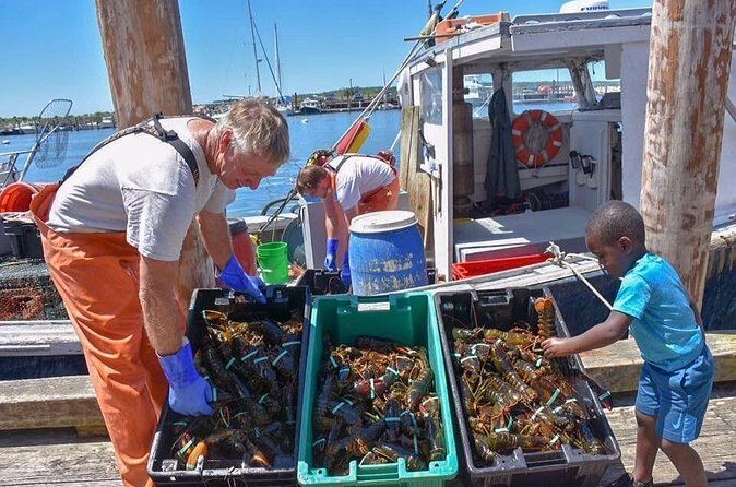 Boston to Kennebunkport with Optional Lobster Tour - Practical Details: What This Tour Means for You