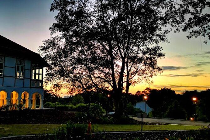 Botanic Gardens & Tiong Bahru Walking Tour with Breakfast - A Deep Dive Into the Tour Experience