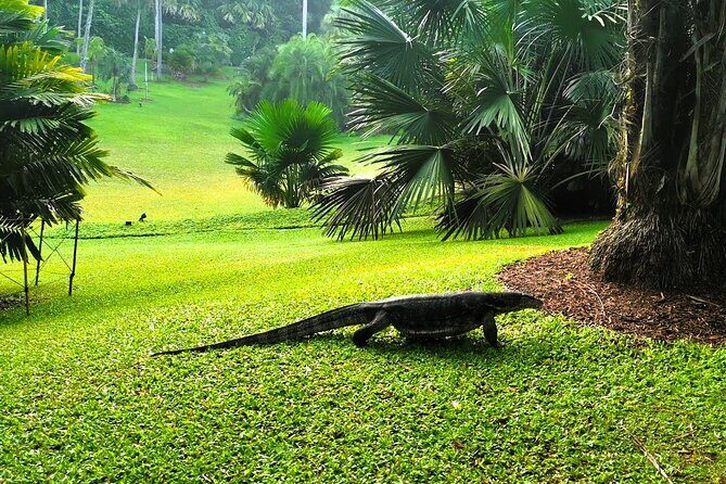Botanic Gardens & Tiong Bahru Walking Tour with Breakfast - FAQs