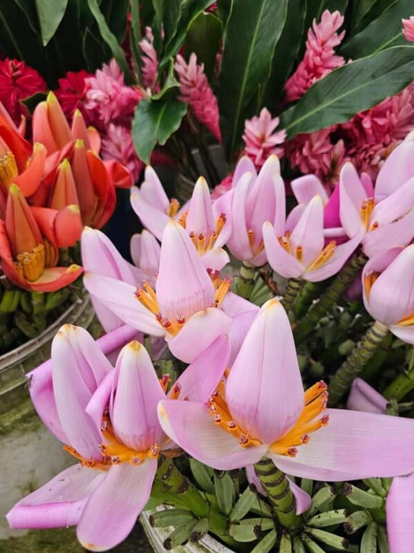 Botanical experience in Argovia: Flowers, Trail, and Tasting - Who Will Love This Tour?