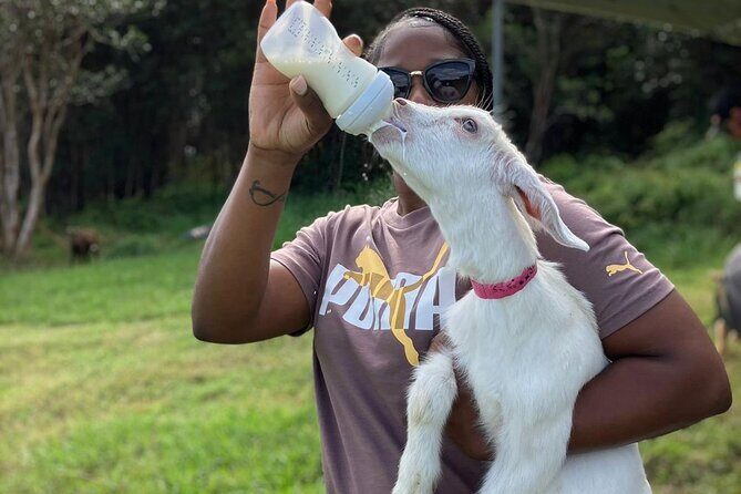 Bottle Feed & Cuddle Baby Goats Tour on Big Island Farm - The Practicalities: Price, Group Size, and Accessibility