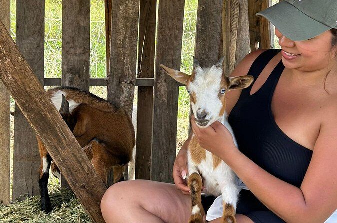 Bottle Feed & Cuddle Baby Goats Tour on Big Island Farm - Why This Tour Is Worth Considering