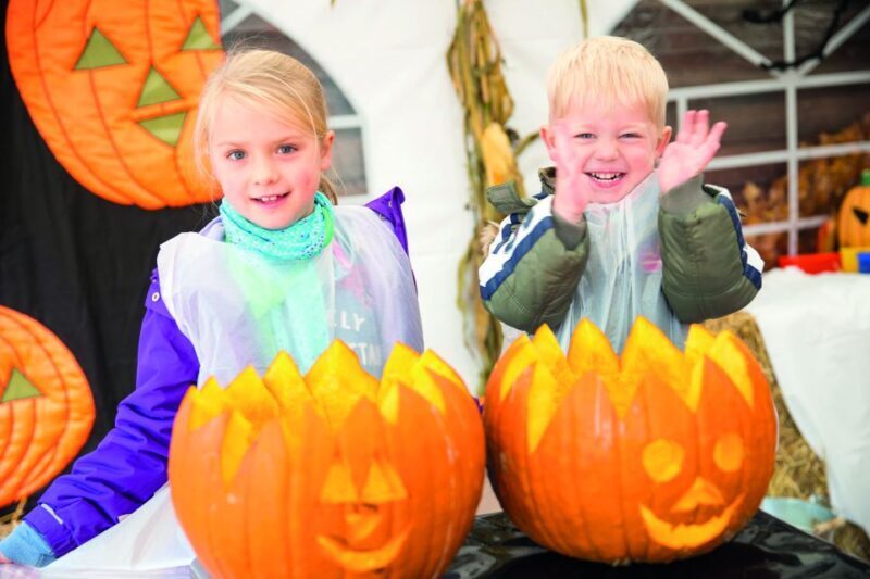 Bottrop: Movie Park Full-Day Admission Ticket - Authentic Experiences and Insider Tips