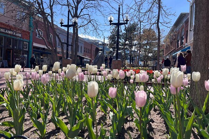 Boulder Art and Nature E-Bike Tour - FAQs
