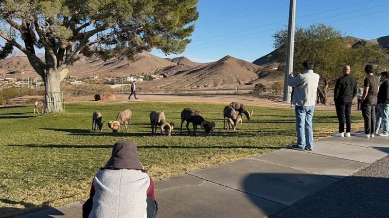 Boulder City: Hemenway Park Guided Tour - The Itinerary and Highlights