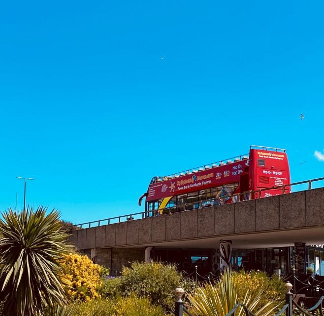 Bournemouth: City Sightseeing Hop-On Hop-Off Bus Tour - Who Will Love This Tour?