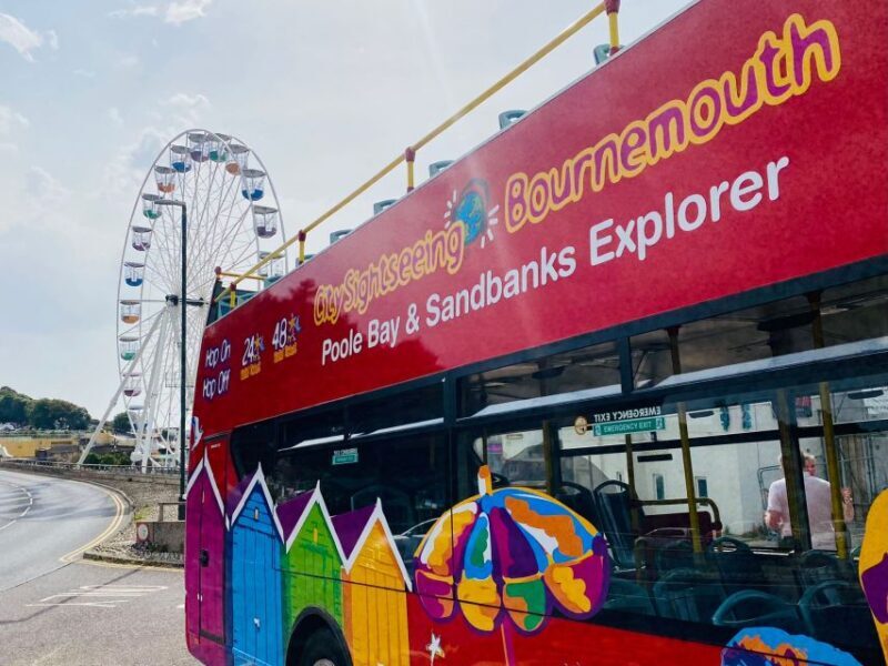 Bournemouth: City Sightseeing Hop-On Hop-Off Bus Tour - Final Thoughts