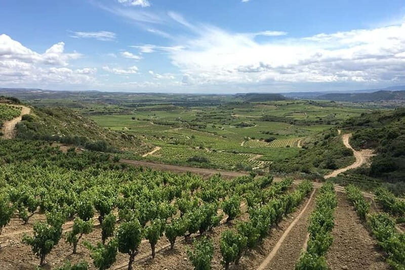 Boutique Rioja Wine Tour with Charming Lunch (From Bilbao) - Who Should Book This Tour?