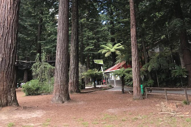 Boutique tour , Mt Maunganui, NZ farm, Rotorua lakes/geothermal - FAQ