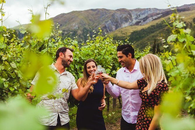 Boutique Wine Tour - visit Central Otago, 4 Wineries & Lunch - The Overall Experience: Pros and Cons