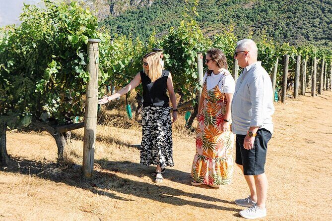 Boutique Wine Tour - visit Central Otago, 4 Wineries & Lunch - Final Thoughts: Who Will Love This Tour?