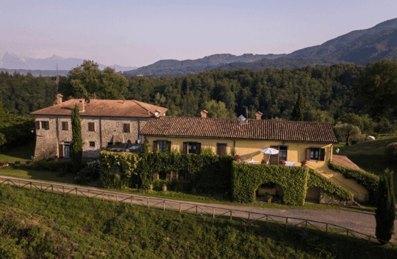 Boutique Winery Tour & Tasting in North Tuscany - A Closer Look at the Experience