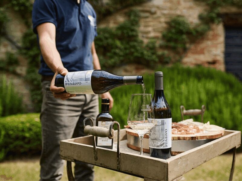 Boutique Winery Visit & 5 Organic Wine Tastings near Urbino - Who Is This Tour Best For?