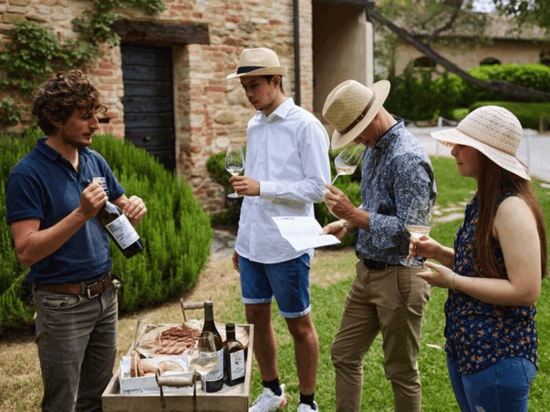 Boutique Winery Visit & 5 Organic Wine Tastings near Urbino - Practical Details & Tips