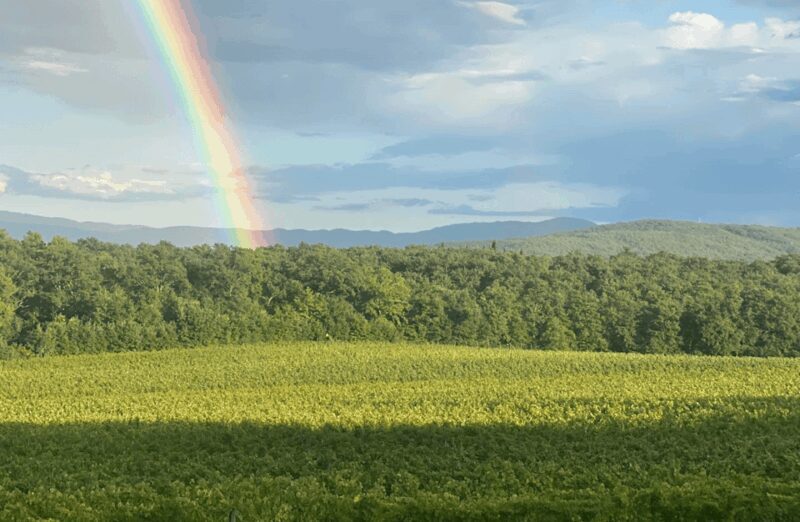 Boutique Winery Visit & Wine Tasting near Arezzo - FAQ