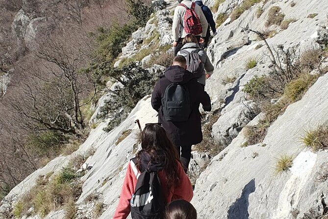 Bovilla lake Hiking Experience - FAQ