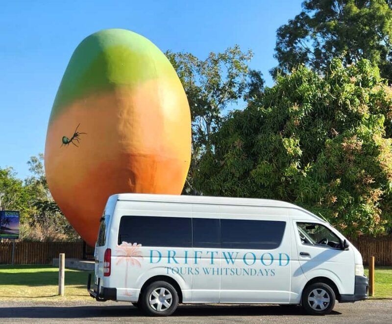 Bowen Beaches & Discovery: Top of the Whitsundays - Key Points