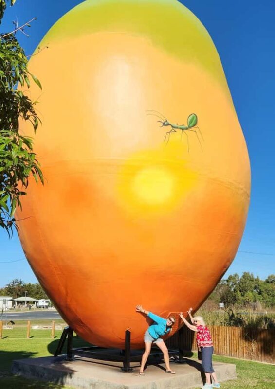 Bowen Beaches & Discovery: Top of the Whitsundays - Learning and Discovering