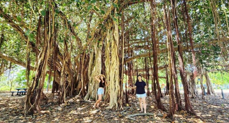 Bowen Beaches & Discovery: Top of the Whitsundays - Final thoughts: Who will love this tour?