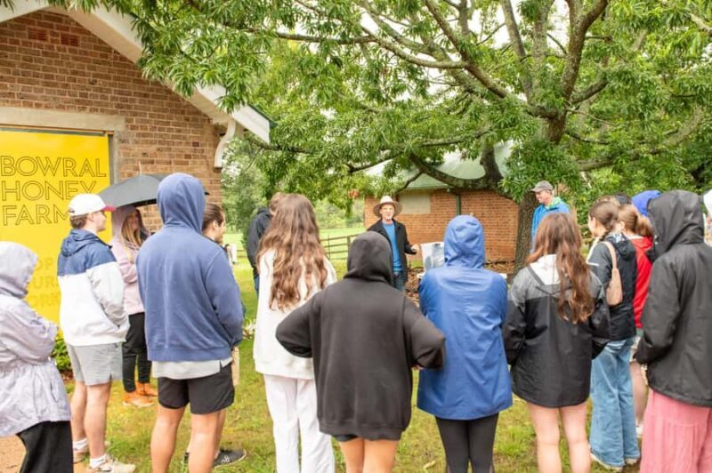 Bowral Honey Farm Tour, Honey Tasting & morning Tea - An In-Depth Look at the Bowral Honey Farm Tour