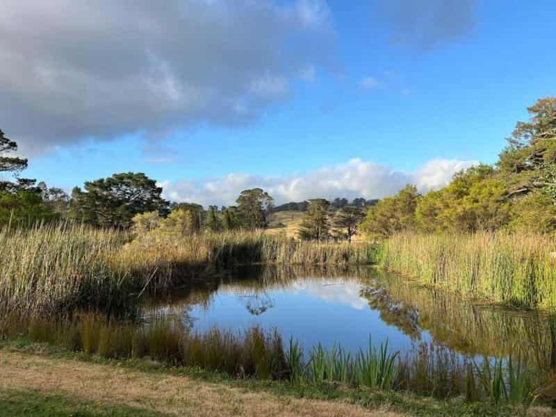 Bowral Honey Farm Tour, Honey Tasting & morning Tea - The Sum Up: Is the Bowral Honey Farm Tour Worth It?