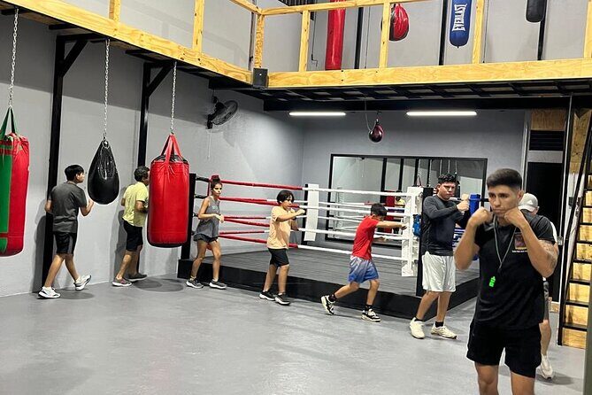 Boxing Puerto Vallarta Experience a day in the ring - Starting Point and Logistics
