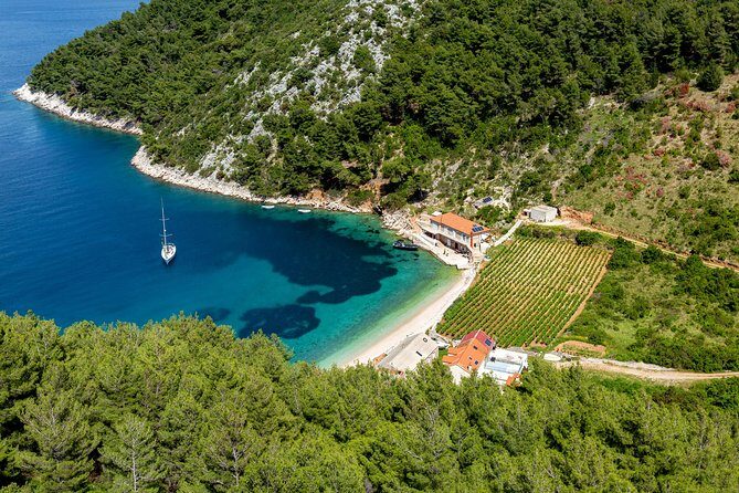 Brac, Hvar, & Solta Day Trip: Snorkeling, Wine & Lunch from Split - A Deep Dive into the Tour Experience