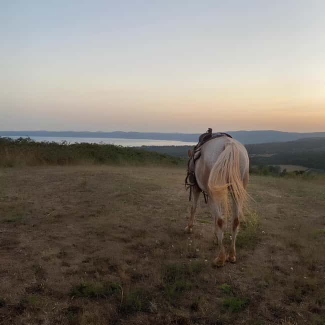 Bracciano: Horseback Ride in the Tolfa Mountains - An In-Depth Look at the Horseback Ride Experience