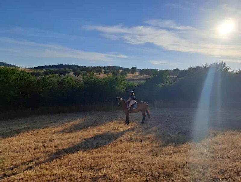 Bracciano: Horseback Ride in the Tolfa Mountains - Value and Overall Impression