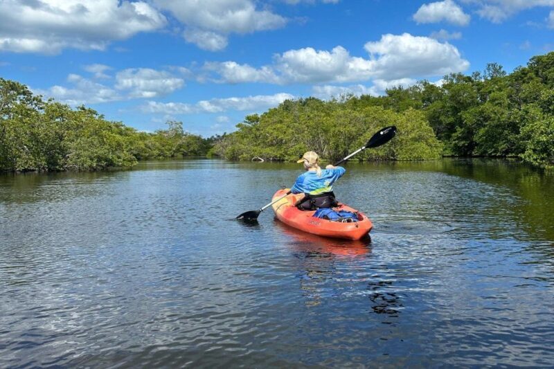 Bradenton: Anna Maria Island Guided Kayaking Manatee Tour - What to Expect from the Tour