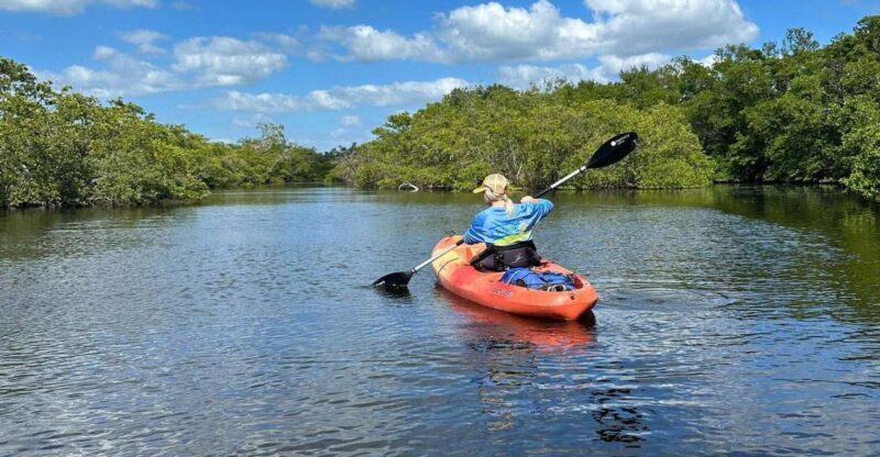 Bradenton: Anna Maria Island Guided Kayaking Manatee Tour - Who Will Love This Tour?