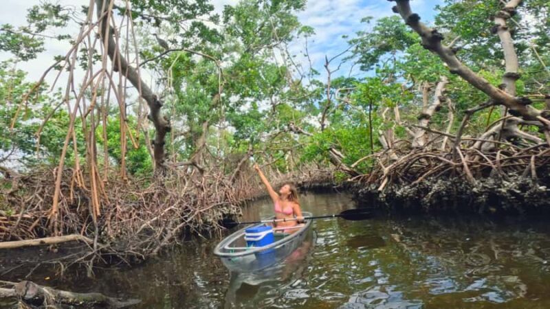 Bradenton: Clear Kayak Mangrove Tunnel Eco Tour - Final Thoughts: Is It Worth It?