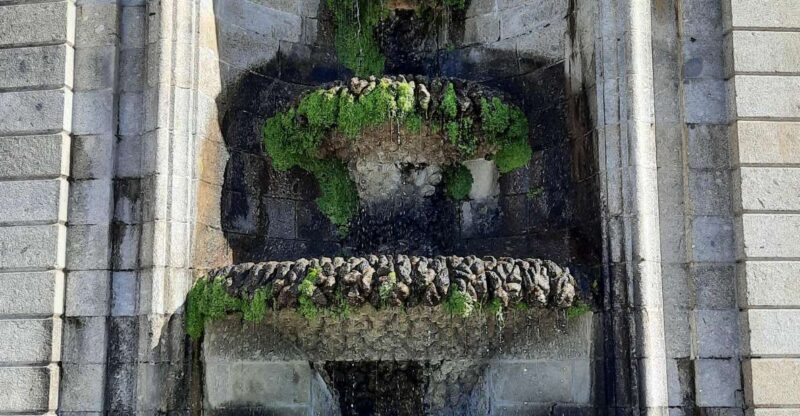 Braga and Guimarães Historical and Cultural Tour from Porto - Discovering Portugal’s Historic Heart: An In-Depth Review