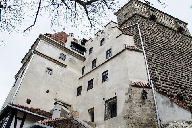 Bran Castle, Bear Sanctuary, and Rasnov Fortress Half Day Tour - Key Points