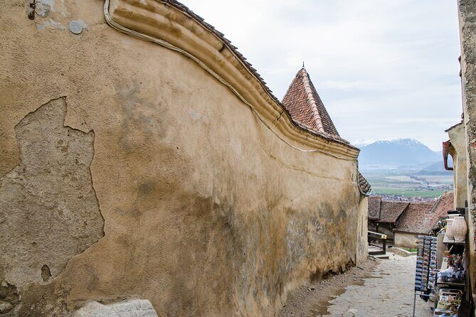 Bran Castle, Bear Sanctuary, and Rasnov Fortress Half Day Tour - Who Is This Tour Best For?