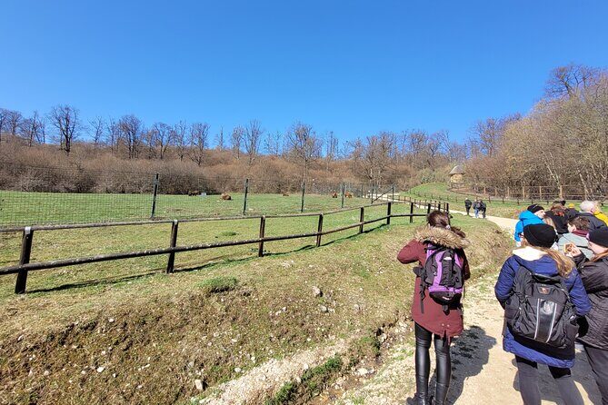 Bran Castle & Bear Sanctuary from Brasov - Optional Peles Castle - FAQ