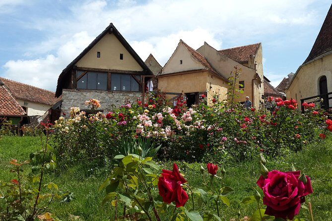 Bran Castle, Rasnov Fortress, Harman & Prejmer Fortified Churches Day Tour - Who Should Consider This Tour?