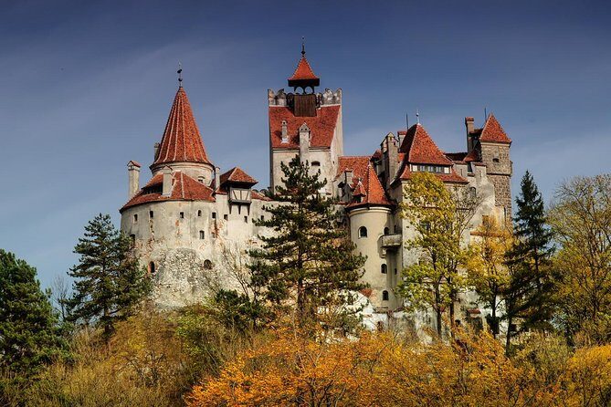 Bran (Dracula) Castle, Bear Sanctuary, Rasnov Fortress & Palinca Distillery - An In-Depth Look at the Tour Experience