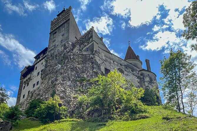 Bran (Dracula) Castle, Bear Sanctuary, Rasnov Fortress & Palinca Distillery - Caring for Romania’s Bears at Libearty Sanctuary