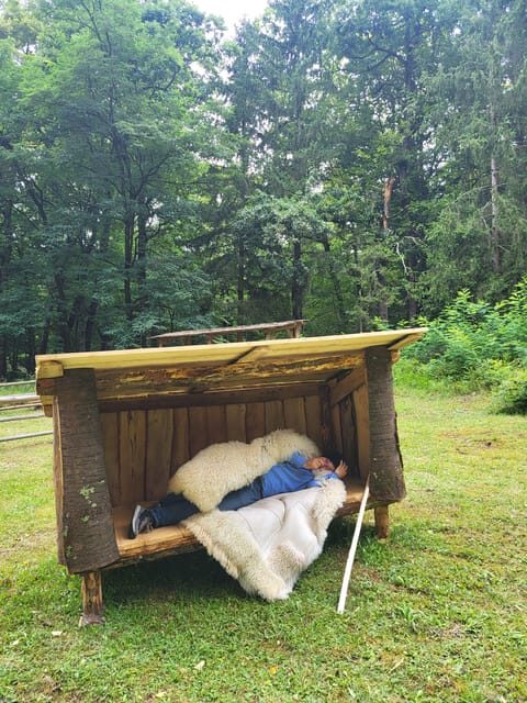 Bran - One Castle, Two Stories: Dracula and Queen Mary! - Authenticity and Value