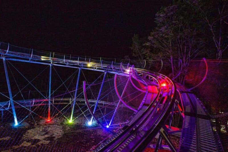 Branson, MO: Copperhead Mountain Coaster Entry Ticket - Who Should Consider This Experience?
